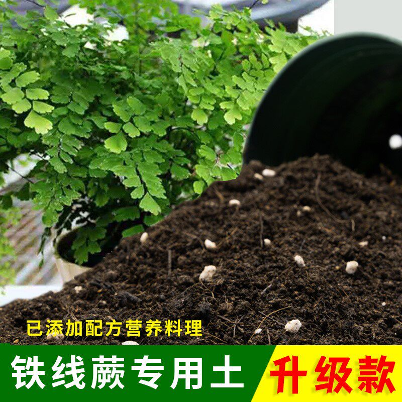 铁线蕨专用土有机土肥料家用种植土铁线蕨营养土盆栽养花通用包邮
