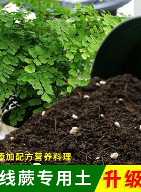 铁线蕨专用土有机土肥料家用种植土铁线蕨营养土盆栽养花通用包邮