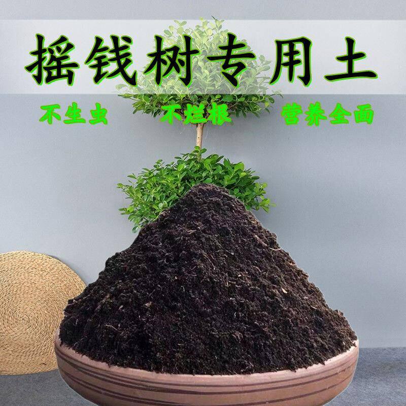 摇钱树专用土摇钱树营养土盆栽种植有机肥料酸性土壤绿植种植土