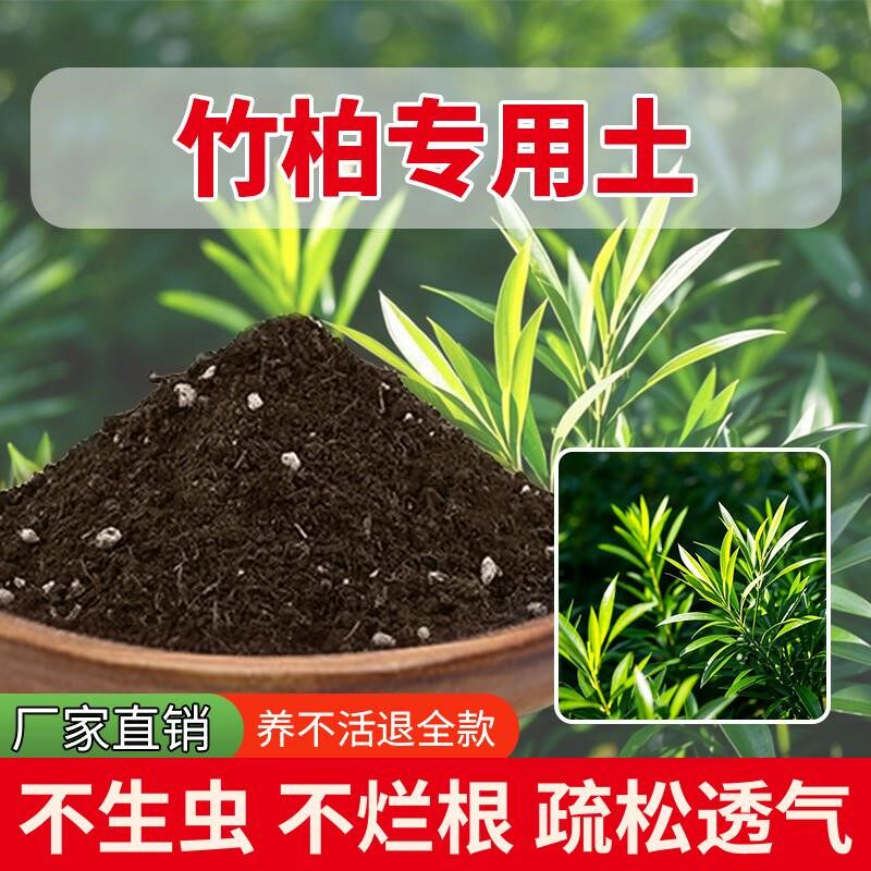 竹柏专用土种花天然通用型泥土育苗花土透气家用疏松盆栽专用土