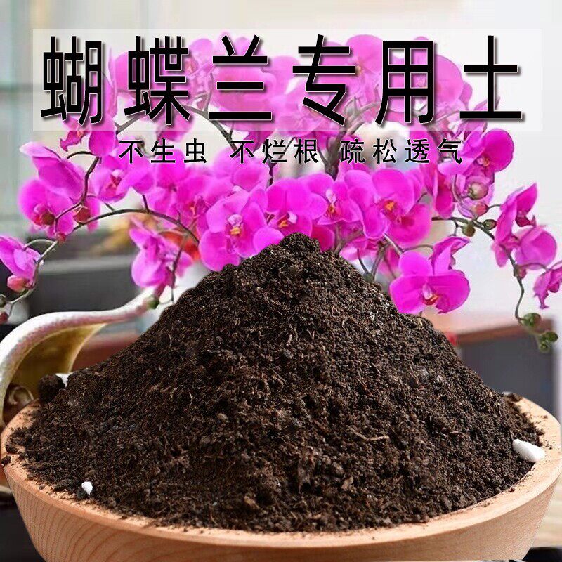 蝴蝶兰专用土绿植物蝴蝶兰专用营养土疏松育苗花土阳台盆栽土壤