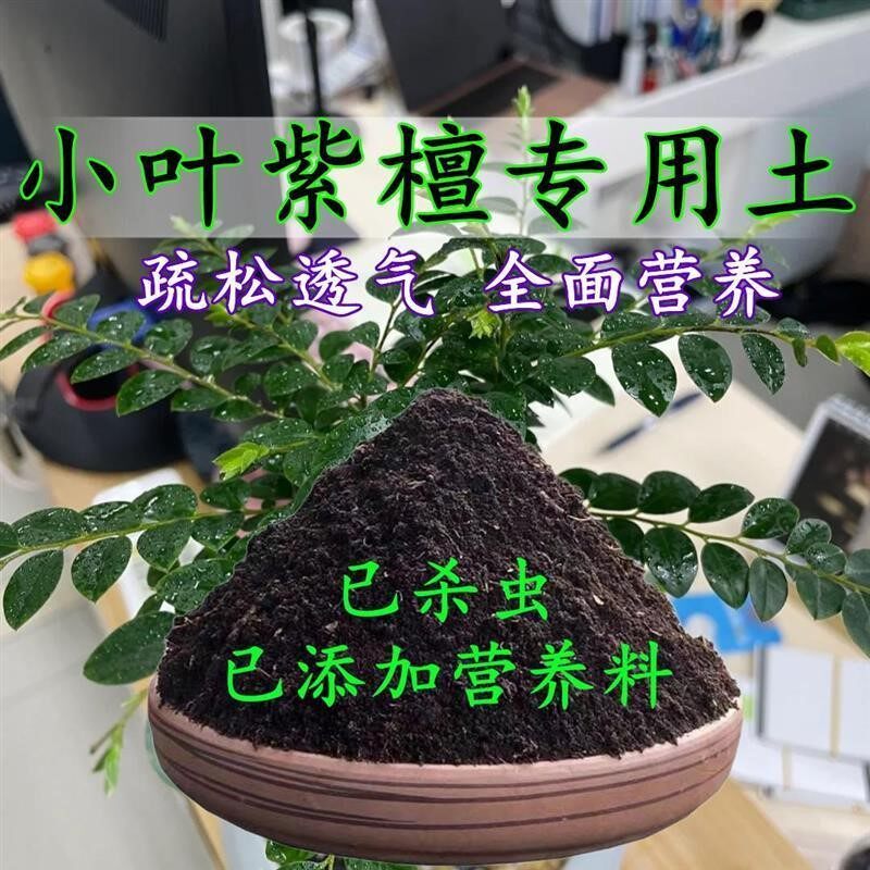 小叶紫檀专用土小叶紫檀土盆栽盆景营养土酸性沙质土壤种植土肥料