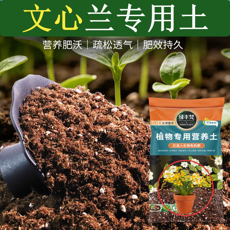 文心兰专用轻质土持水性好种植土细腻均匀改善板结开袋即用多肉