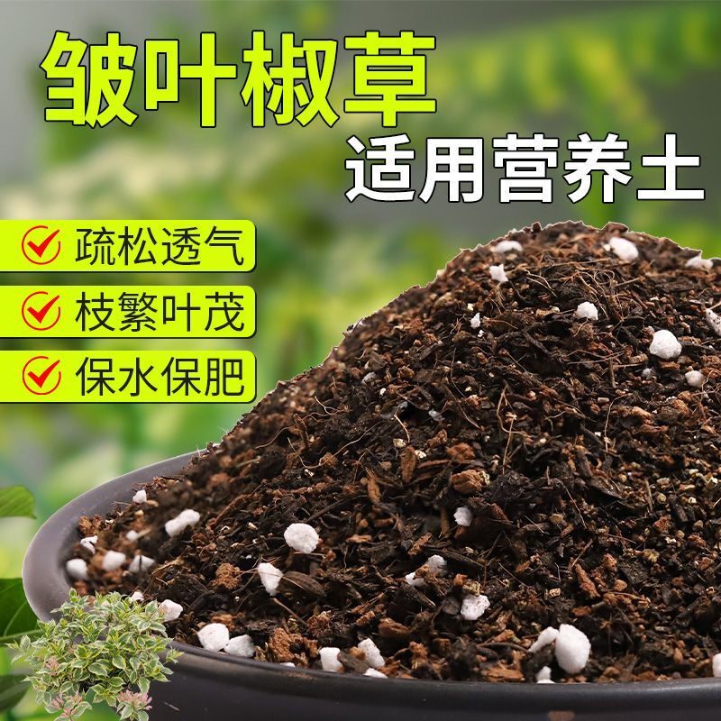 【皱叶椒草专用土】疏松透气盆栽绿植专用室内植物有机营养土肥料