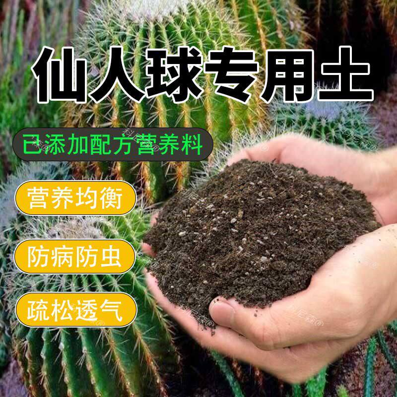 仙人球专用土种养仙人掌营养土种植土专用肥料多肉种植土育培泥土
