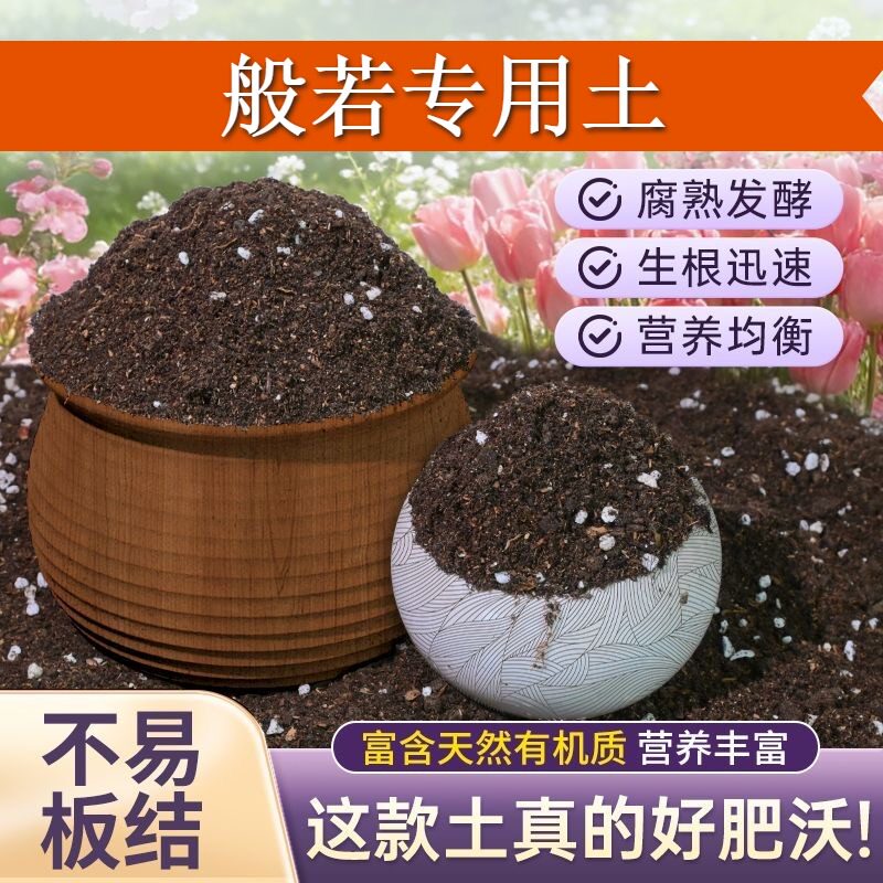般若适用种植土加珍珠岩盆景加深生根粉进口壮根观叶盆景土防烂根