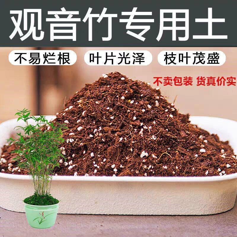 观音竹专用土竹子类营养土家用酸性绿植室内种植通用有机花土土壤