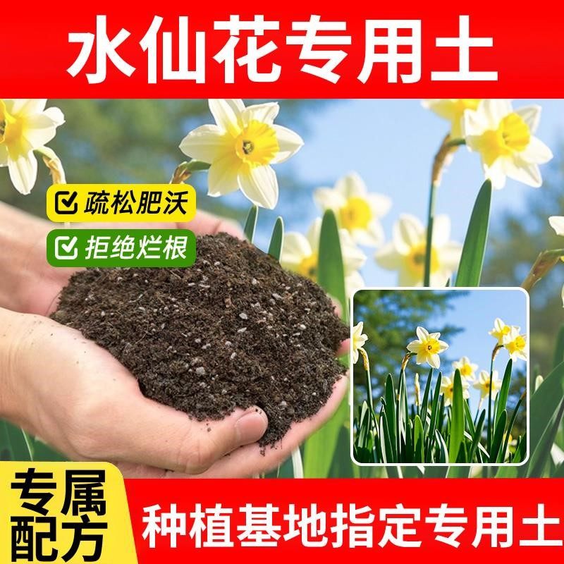 水仙花专用土水仙花专用营养土花盆花草花肥种花土育苗花土种菜