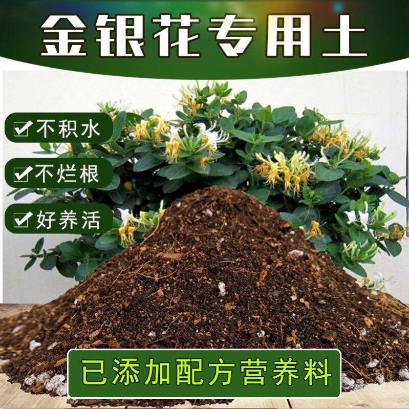 金银花专用土腐殖土盆栽有机花土种花金银花营养土壤通用种植肥料