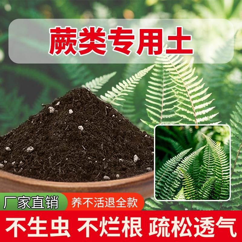 蕨类专用土通用营养土土壤果苗种植土盆栽专用土绿植家庭水果黑土