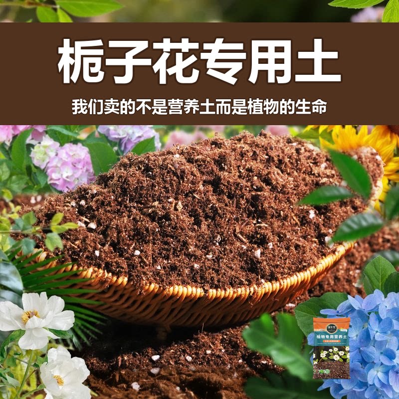 栀子花专用土盆栽有机花土种栀子花营养土壤养花通用种植土透气肥