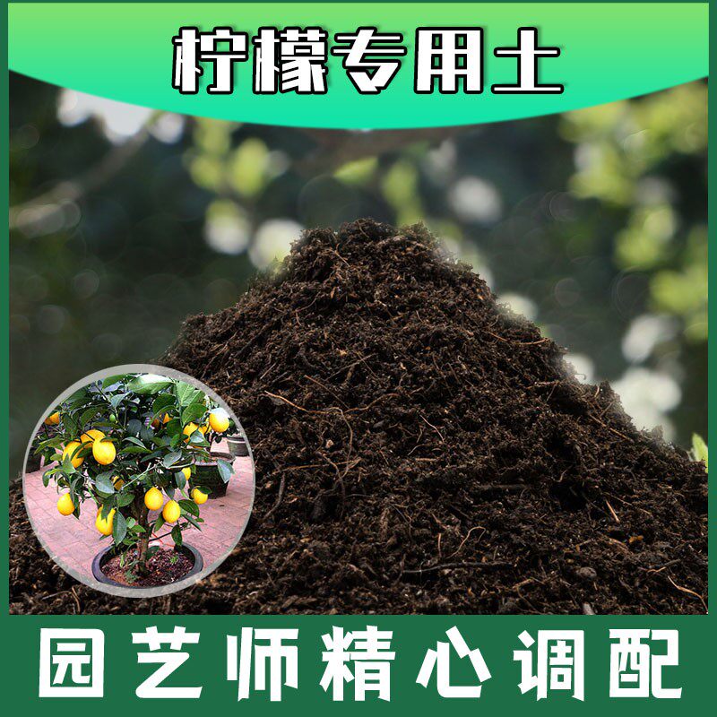 柠檬专用土腐殖土种花养花盆栽土柠檬营养土种植有机土壤肥料花土