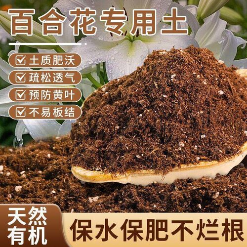 百合花专用土营养土养花通用种植土家用阳台盆栽兰花多肉有机土壤