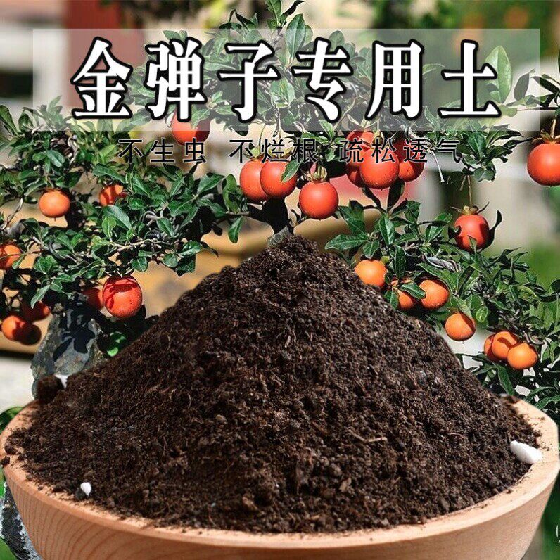 金弹子专用土土壤金弹子专用营养土发酵种菜有机肥肥料天然透气