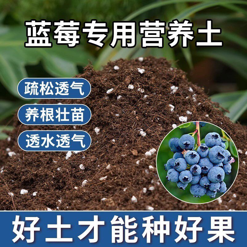 蓝莓专用营养土家庭阳台种植蓝莓树育苗种菜种花家用盆栽泥炭花土