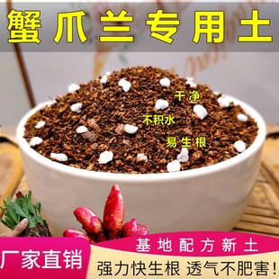 蟹爪兰专用土酸性家用种植土通用型营养土花泥有机土壤多肉土颗粒