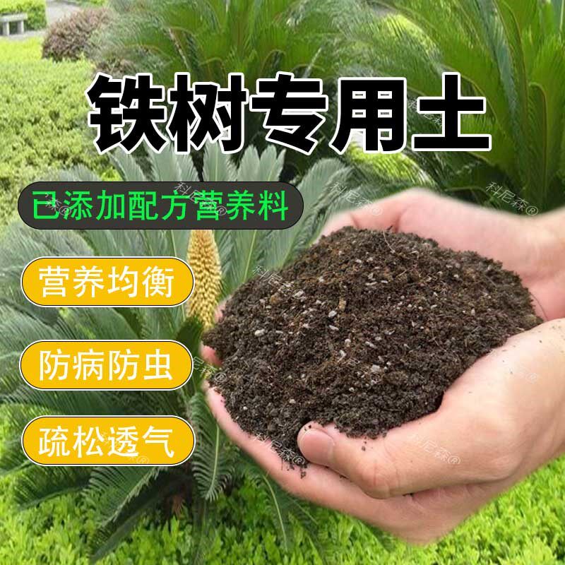 铁树专用土养花绿植专用土通用疏松透气土泥土专用肥料铁树营养土