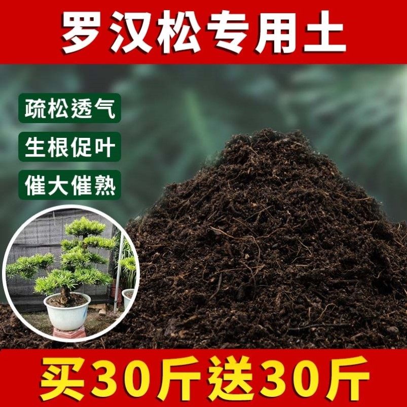 罗汉松专用土罗汉松营养土盆栽土种植泥土酸性土壤肥料栽培土包邮