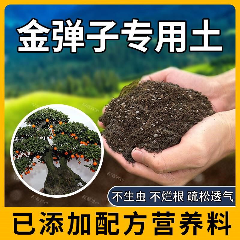 金弹子专用土肥料天然金弹子营养土椰砖花卉阳台花草透气家庭种植