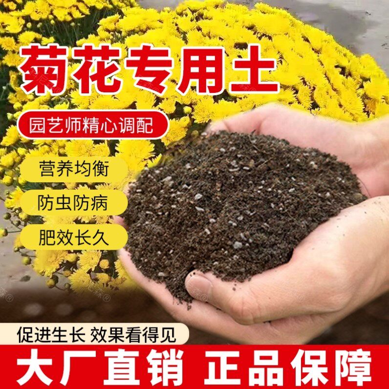 菊花专用土肥料绿植菊花营养土蓬松园艺花盆泥土家庭天然育苗花土
