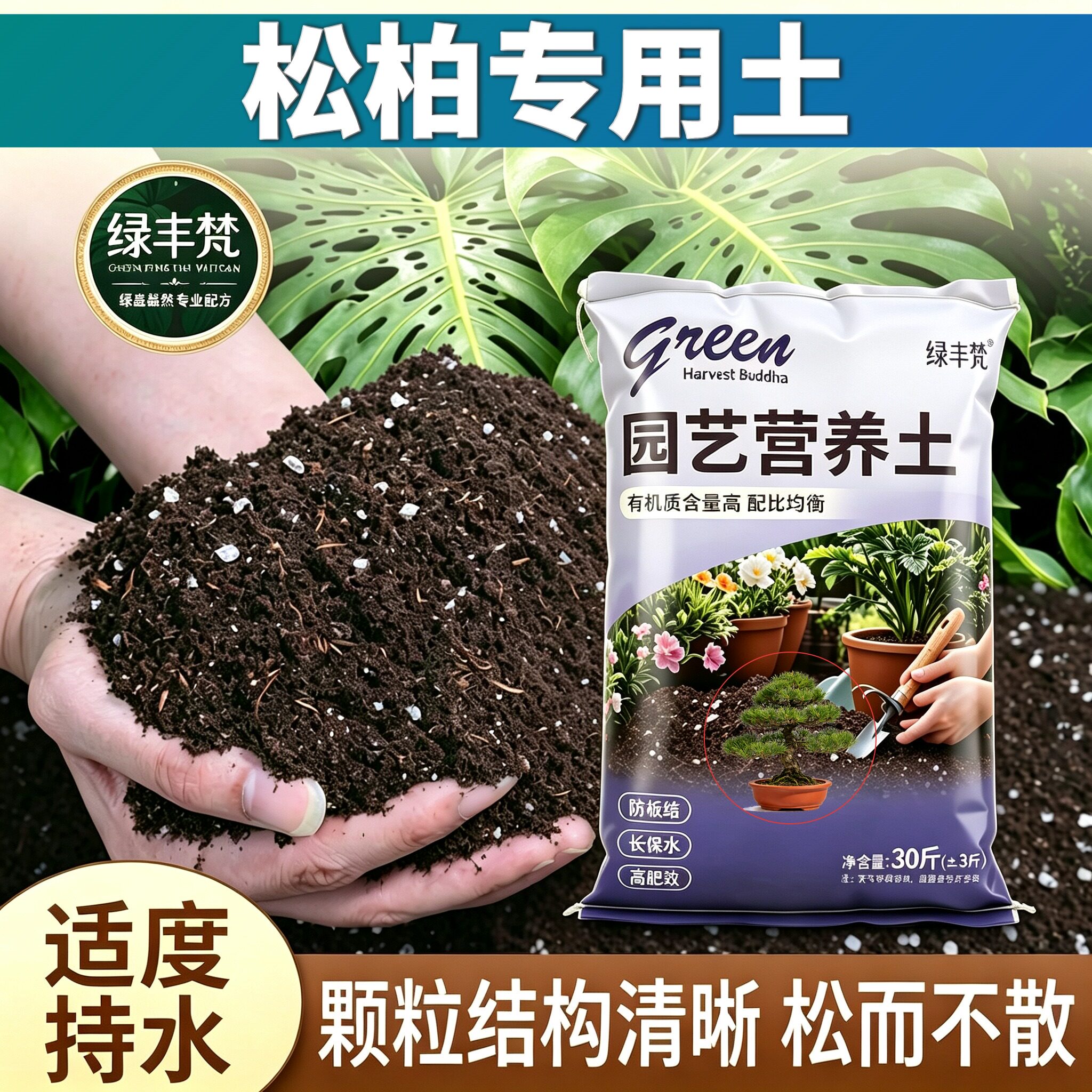 松柏适用含泥炭根壮苗好盆栽加深生根粉精选防黄叶多肉进口泥炭土