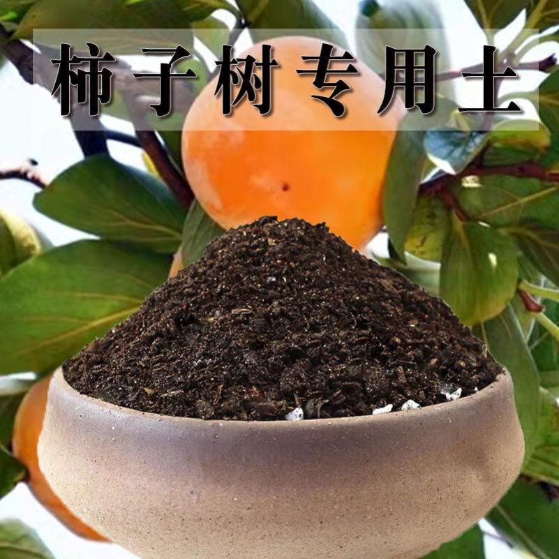 柿子树专用土盆栽果树柿子树营养土庭院果树通用土有机肥料种植土