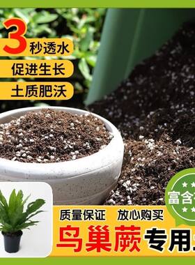 【鸟巢蕨专用土】家用盆栽土加生根粉绿植专用有机植物营养肥料土