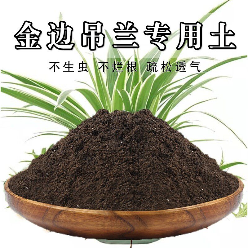 金边吊兰专用营养土花土种养金边油画金鱼吊兰专用土壤泥土种植土