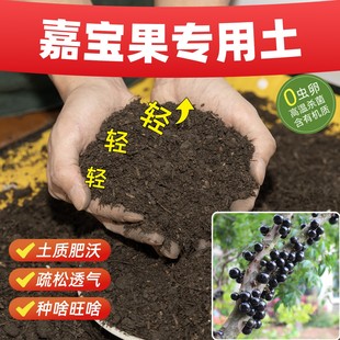 嘉宝果专用营养土疏松土壤防板结抗病通用型无虫卵育苗土室内盆栽