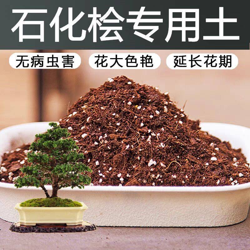 石化桧专用盆景土风化土赤玉土营养盆栽酸性沙质土壤种植红土
