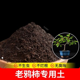 老鸦柿专用土营养土花肥发酵阳台有机土花园种花养花专用土通用型