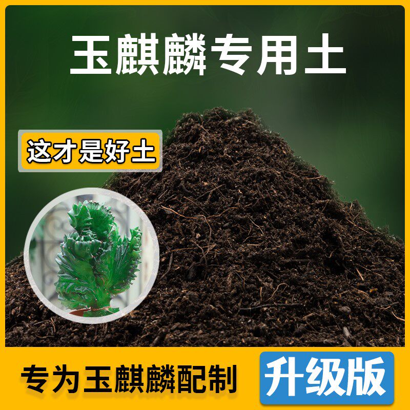 玉麒麟家用营养土不烂根高温灭菌室内花园加牛粪扦插泥炭基质阳台