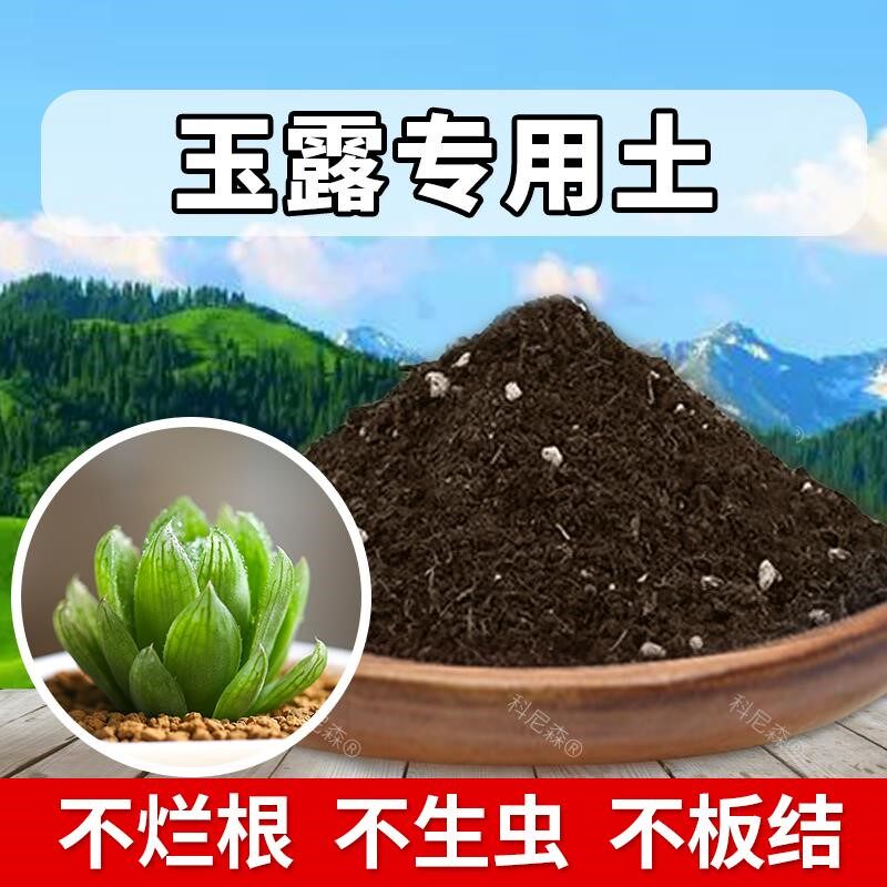 玉露专用土肥料玉露营养土园艺植物营养土花卉种植泥土室内有机土