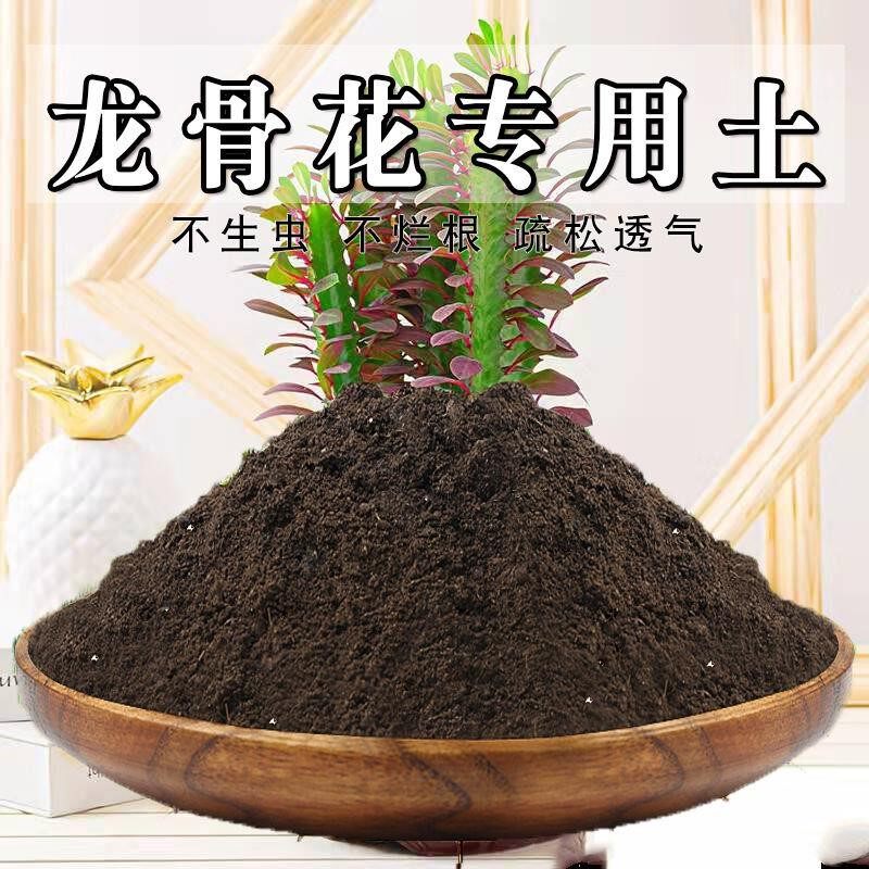 龙骨花专用土龙骨花土盆栽营养土通用种花养花泥土壤种植土有机肥
