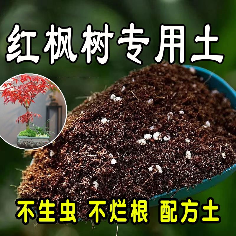 红枫树专用营养土 红枫树专用土 盆栽有机土花土种花养花种植土壤