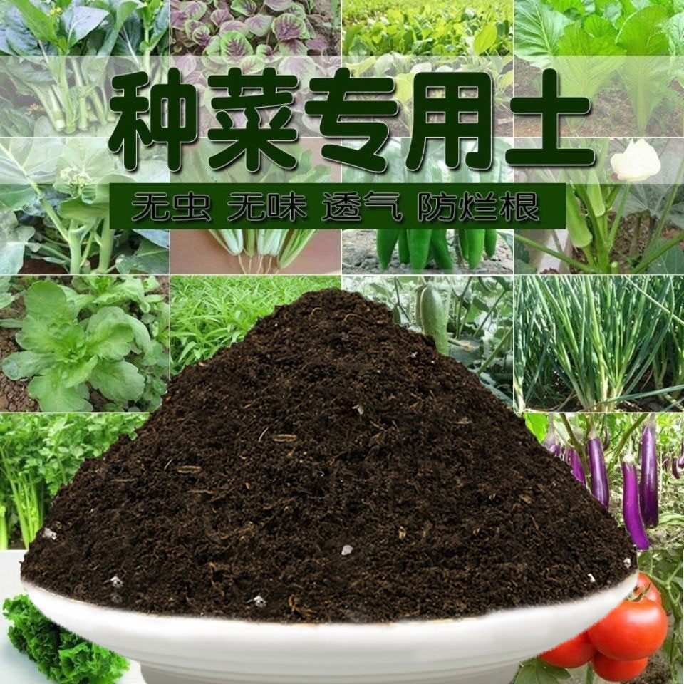 阳台种菜专用土种菜土肥料花泥土透气种植土壤通用蔬菜营养土花土