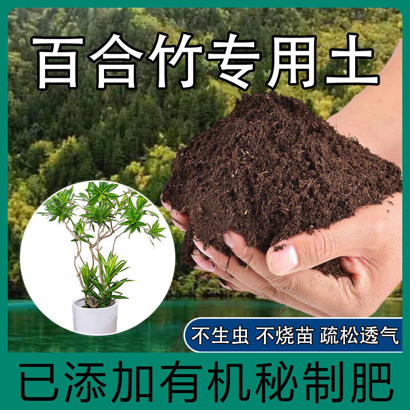 百合竹专用土肥料营养土家庭盆栽阳台绿植养花百合竹有机营养土壤图片