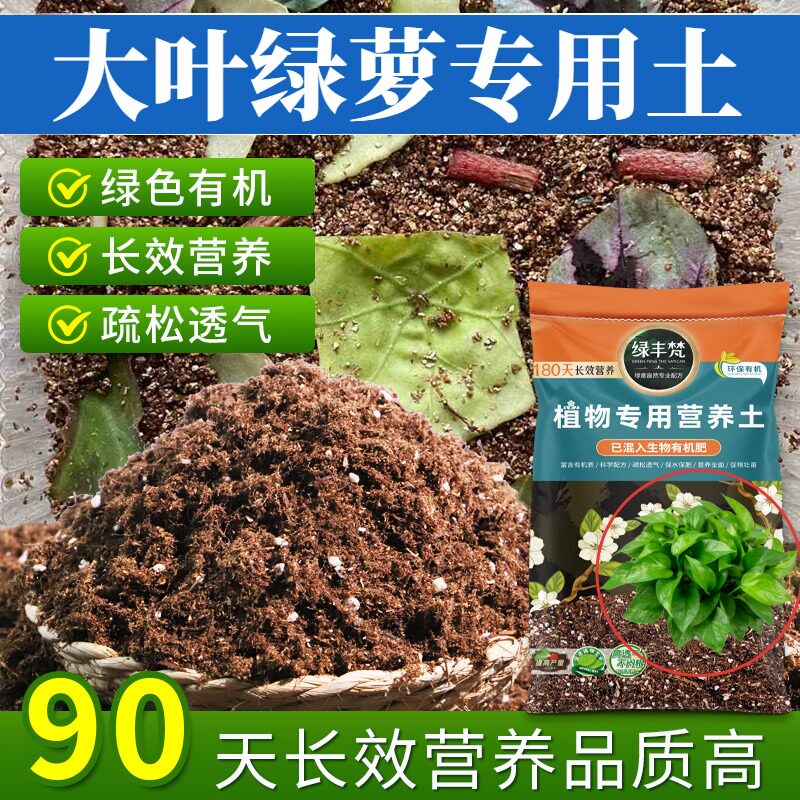大叶绿萝适用园艺土家庭适用营养土结构稳定调节土质无草籽木本