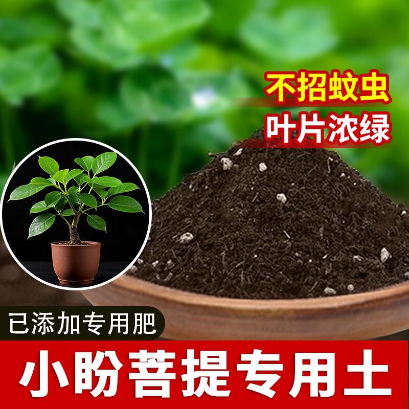 小盼菩提专用土花土有机盆栽专用土盆栽土壤种菜植物多肉土园艺