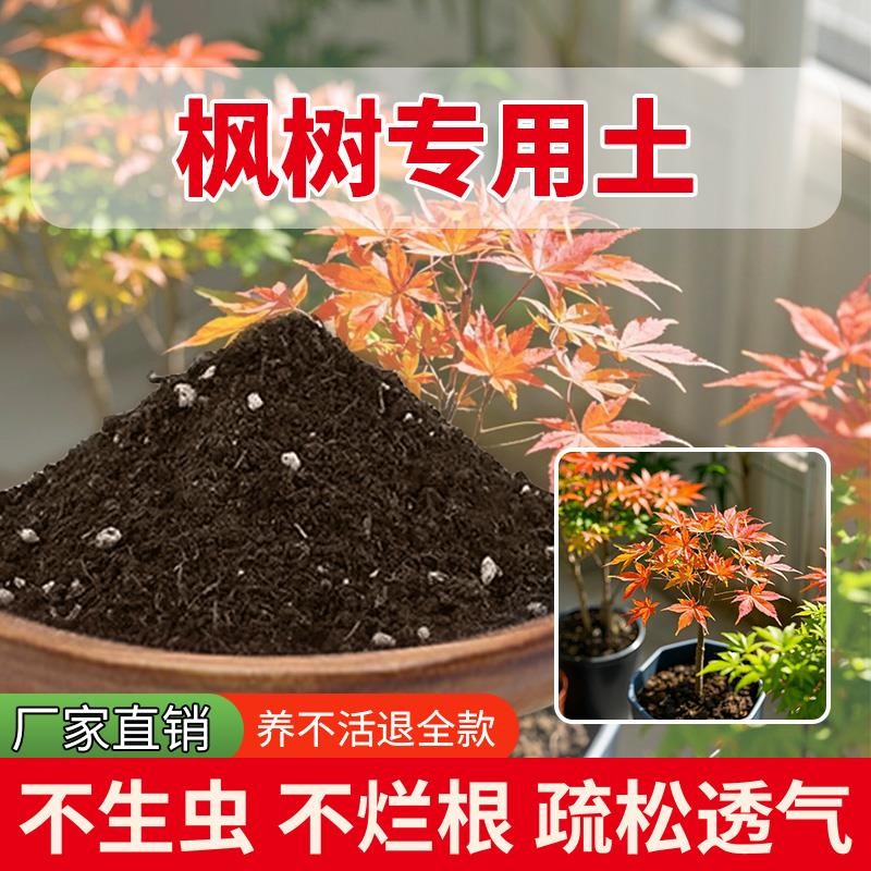 枫树专用土花盆发酵肥料室内养花专用土花卉有机土花土绿植盆栽