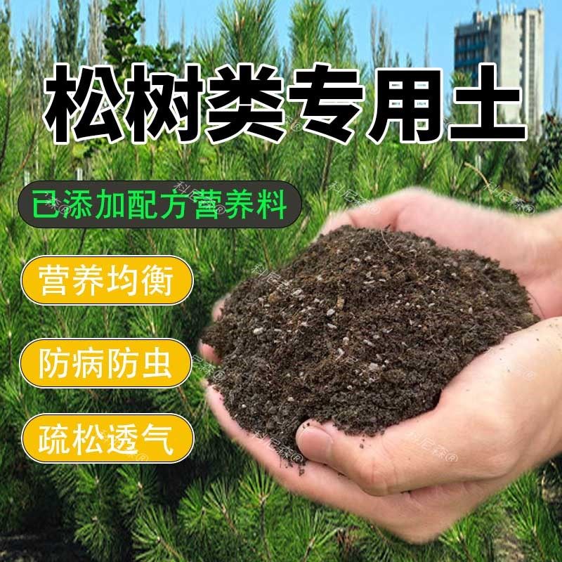 松树专用土五针松罗汉松黑松黄山松营养肥土风化土酸性土壤盆景土