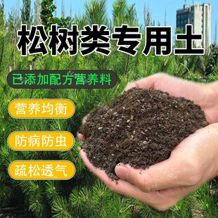 松树专用土五针松罗汉松黑松黄山松营养肥土风化土酸性土壤盆景土