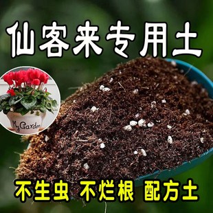 仙客来专用营养土 仙客来专用土 盆栽有机土花土种花养花种植土壤