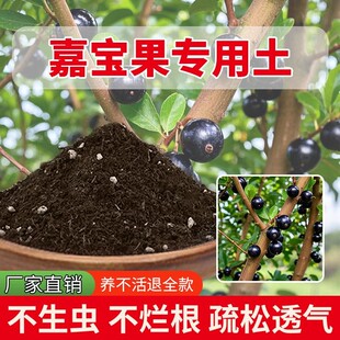 嘉宝果专用土盆栽专用土果树天然发酵有机土通用型有机肥土壤家庭