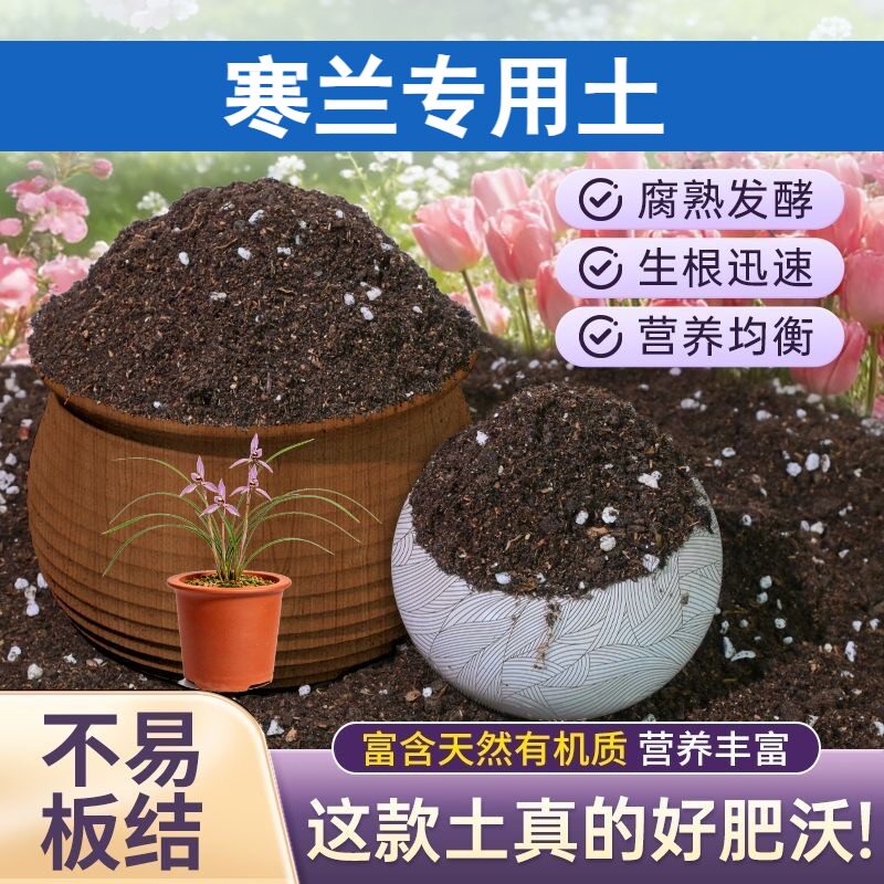 寒兰适用含泥炭不板结阳台加深生根粉优质防徒长球根多肉保水保肥