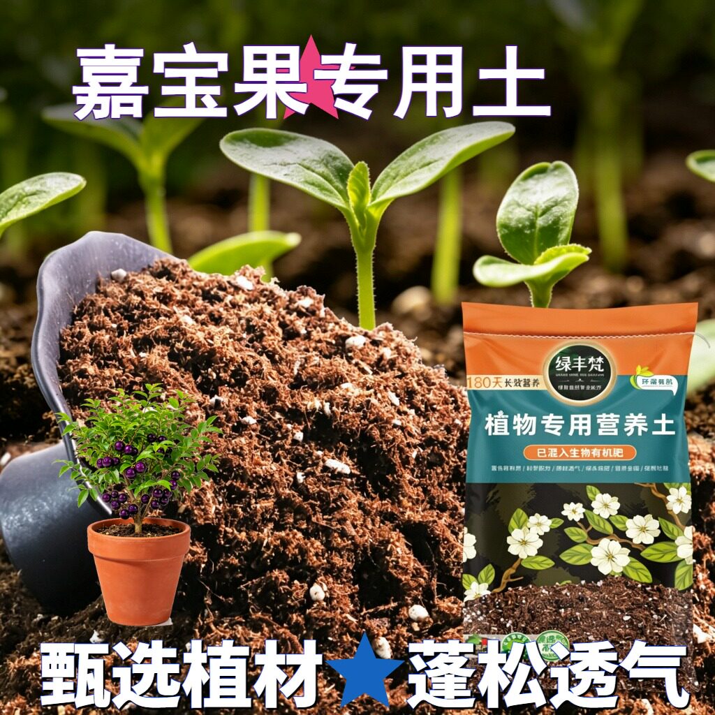 嘉宝果专用轻质土家庭适用养花营养土洁净基质防黄叶开袋即用多肉