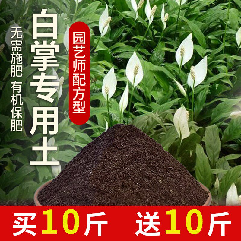 白掌专用土肥料植物花盆绿植黑土一帆风顺营养土种花园艺育苗花土