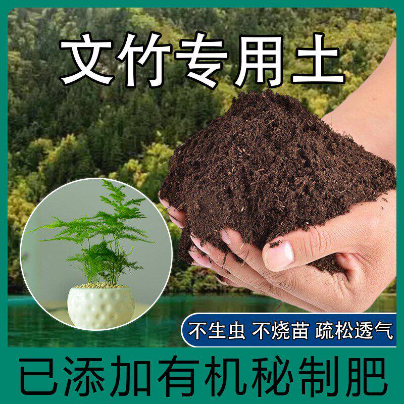 文竹专用土云竹专用营养土养花种花土盆栽种植土有机土壤有机肥料