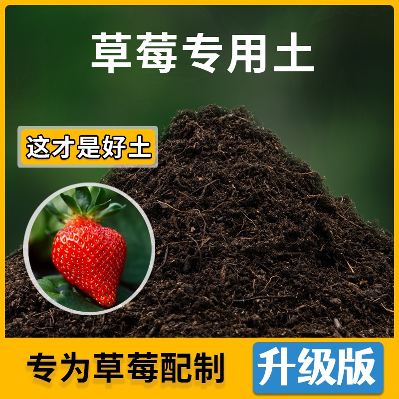 草莓专用土盆栽土种花养花家庭阳台种植土草莓营养土有机土壤包邮