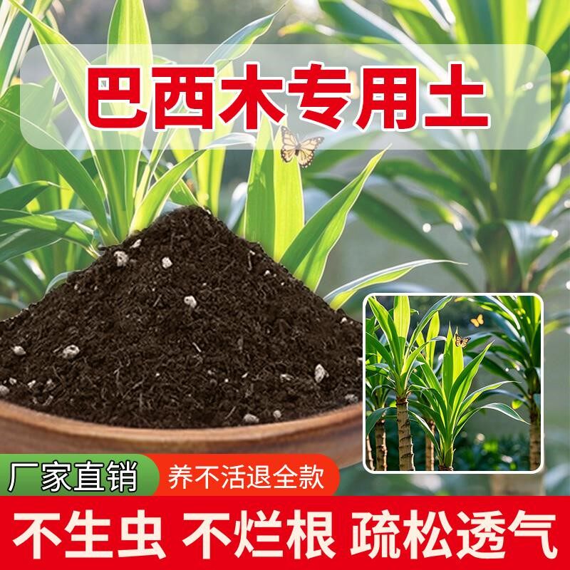 巴西木专用土阳台肥料养花花草有机肥盆栽专用土种花通用种花土